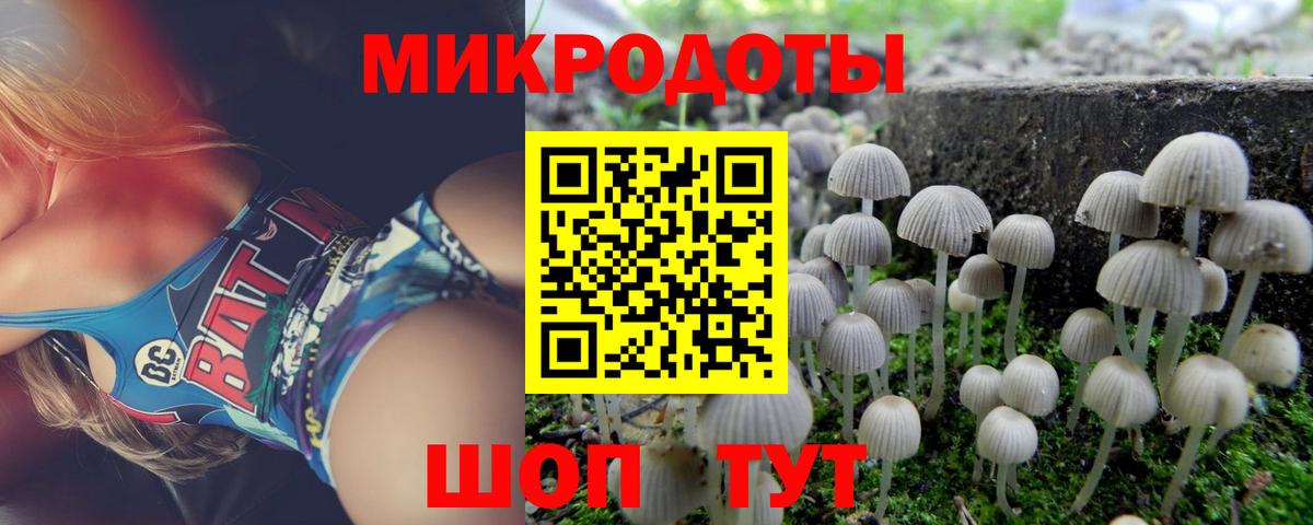 Псилоцибиновые грибы GOLDEN TEACHER  Псилоцибиновые грибы Magic Shrooms  Вход с VPN  Соль-Илецк 
