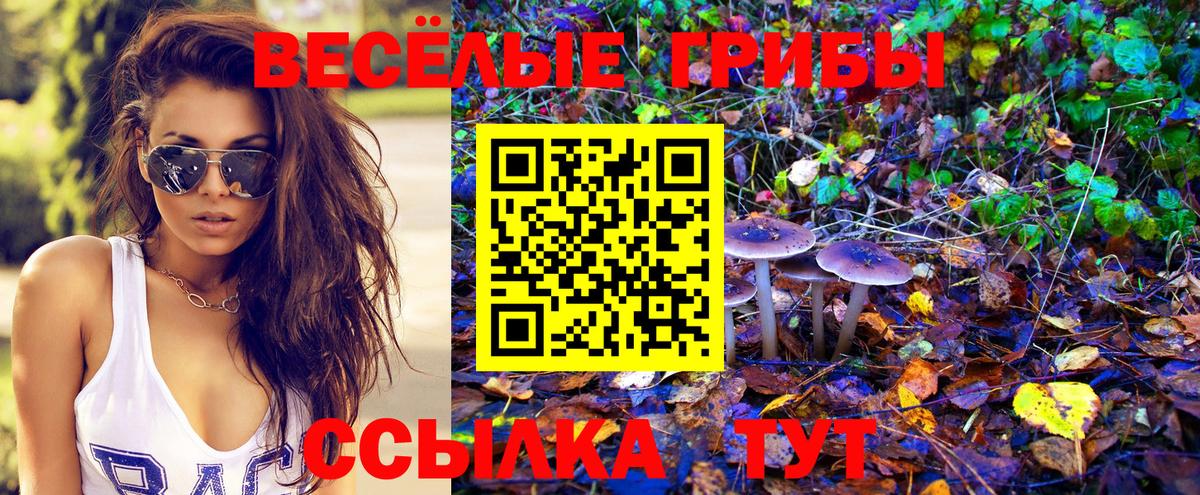 Псилоцибиновые грибы ЛСД Соль-Илецк